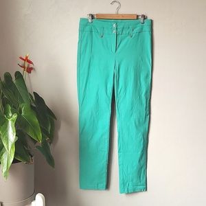 Check it Out Plus Stretchy Skinny Mint Pants Size 1X or 14